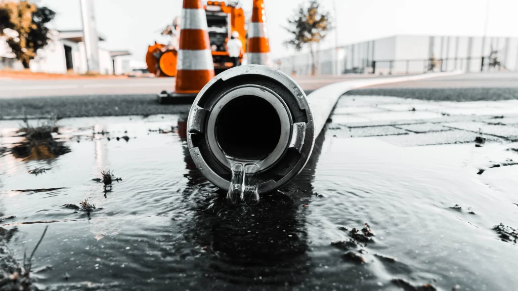 Tree Roots in Your Sewer Line: How It Happens in the Midlands